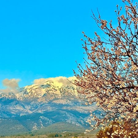 Villa Vasiliki Paliouras Exteriör bild