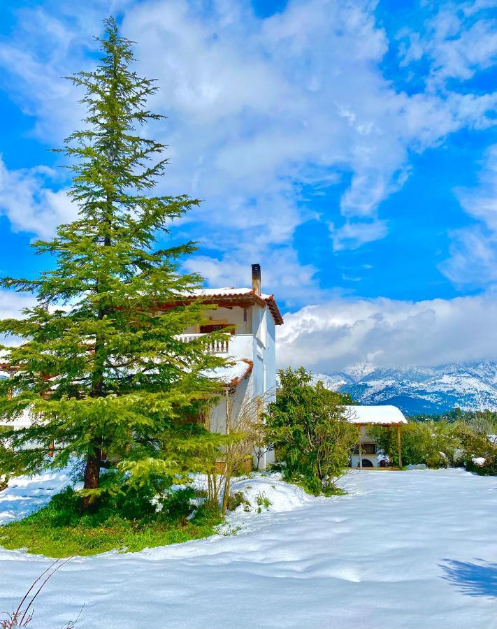 Villa Vasiliki Paliouras Exteriör bild