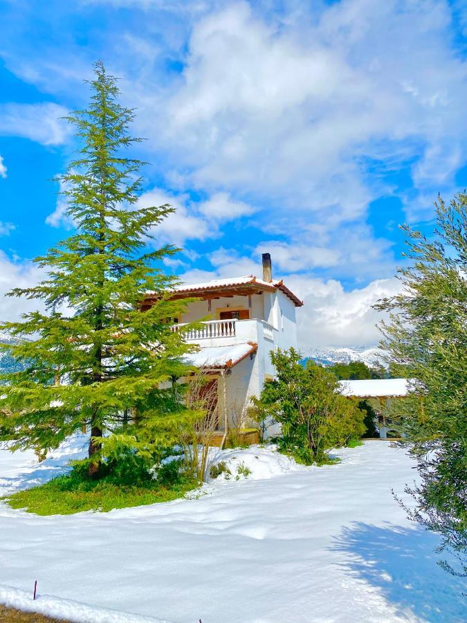 Villa Vasiliki Paliouras Exteriör bild
