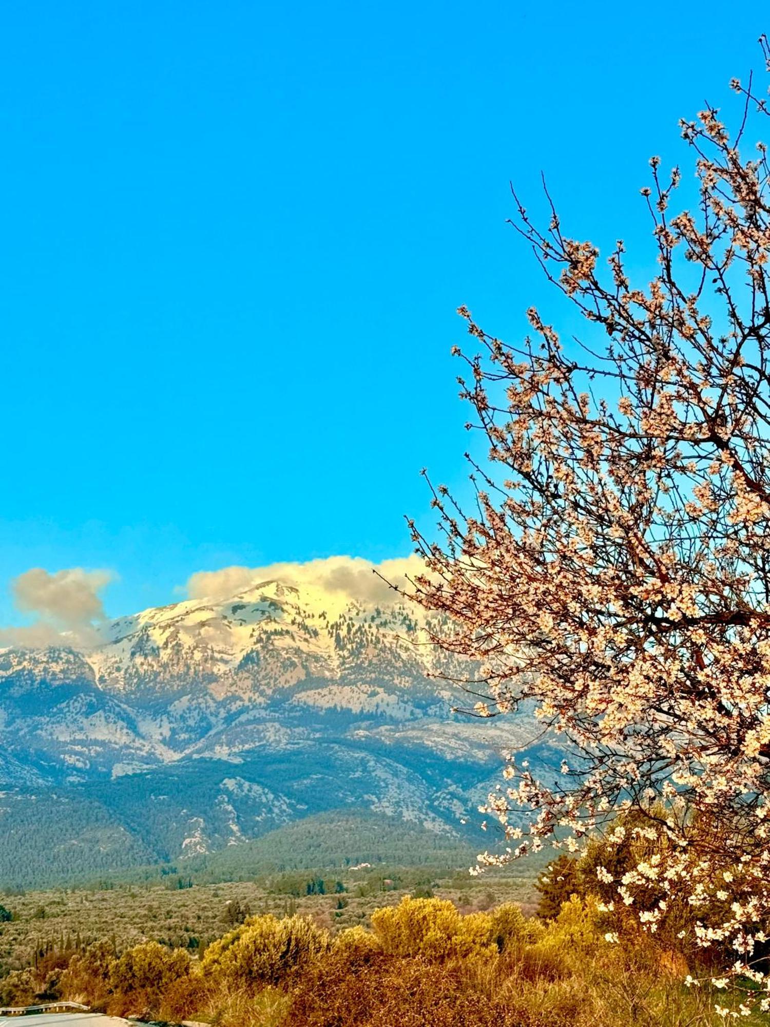 Villa Vasiliki Paliouras Exteriör bild