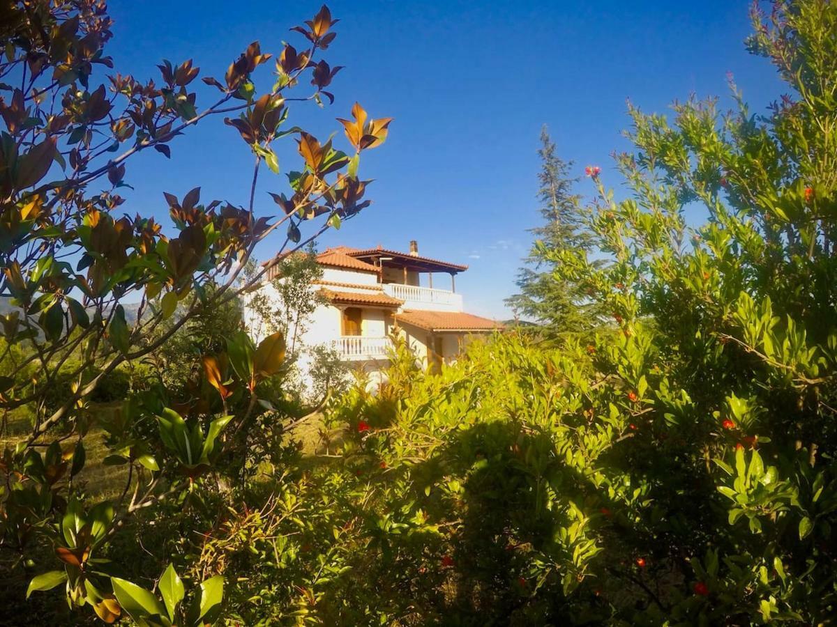Villa Vasiliki Paliouras Exteriör bild