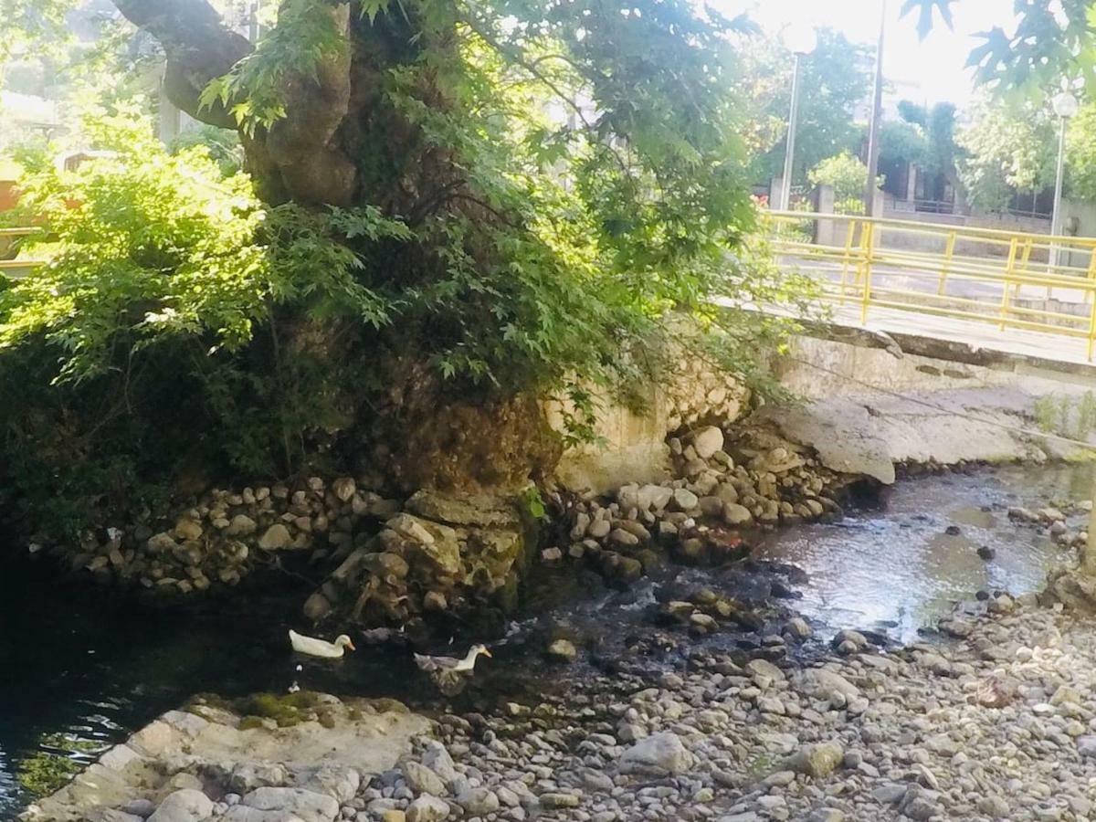 Villa Vasiliki Paliouras Exteriör bild