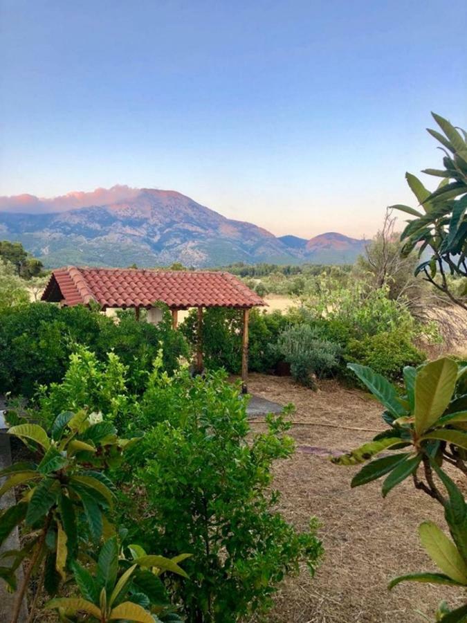 Villa Vasiliki Paliouras Exteriör bild