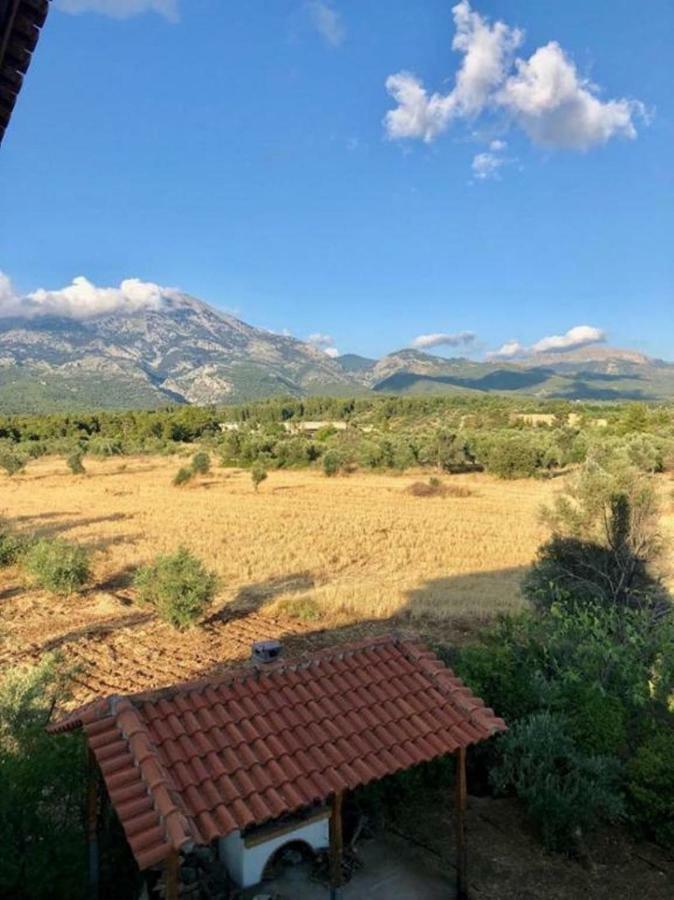 Villa Vasiliki Paliouras Exteriör bild